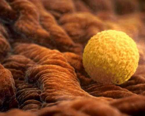 供卵孩子DNA_供卵生男孩,2025贵州医科大学附属医院供卵试管费用发布-附供卵排