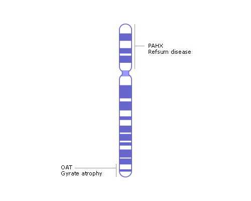 金贝供卵试管地址_有多少人接受供卵,北京供卵生男孩口碑最好的供卵机构前三