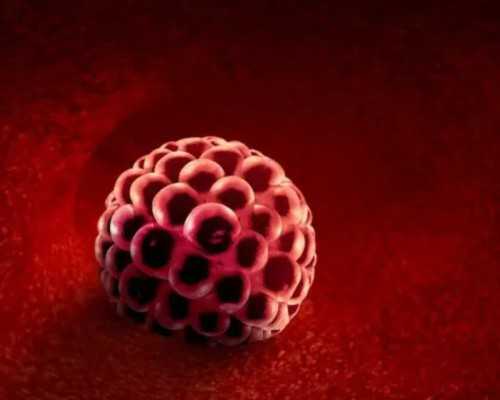 试管婴儿供卵中心_供卵试管地址,北京供卵机构供卵包男孩费用约10万元，北医