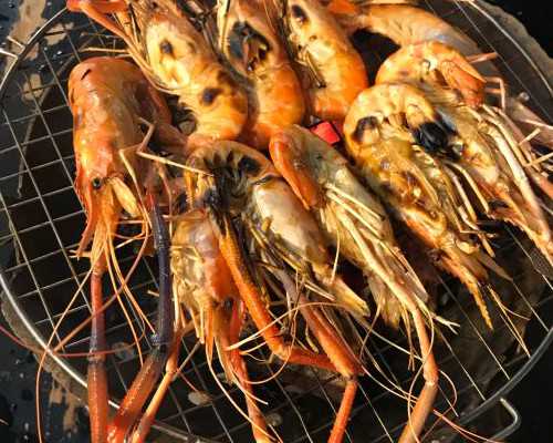 北京供卵试管助孕：专家解析成功经验与费用，安全选择指南