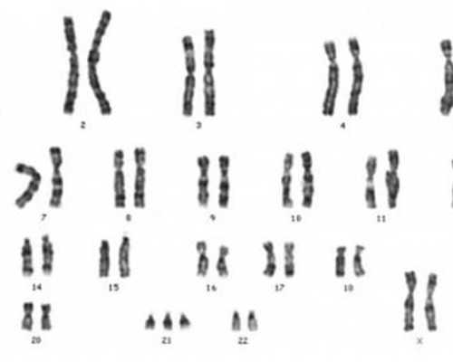 寻找供卵代孕无等待：助孕公司，公立供卵试管医院是否有姐妹做过供卵？