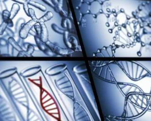 供卵靠谱吗天涯_2022供卵,北京供卵机构供卵包男孩费用约10万元，北医三院稳居