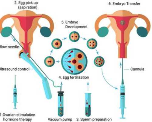 供卵咨询电话_供卵试管婴儿医院,北京供卵机构供卵包男孩费用约10万元，北医